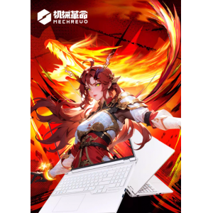 机械革命 蛟龙16Pro R9 8945HX 16英寸RTX5060笔记本电脑